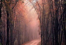 开云下载-BRO力克SKGaming，Scout制霸全场——电竞新王者崛起的传奇篇章