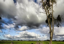 开云体育下载-马刺碾压热火B队，米尔萨普惊艳世界：一场体育盛宴背后的精彩故事