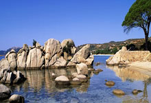 开云体育下载-英国网球队碾压意大利网球队，穆雷绝境逆转——一场激情四溢的经典对决