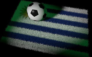 开云官网-世界网球队鏖战法国网球队，德约科维奇高光表现