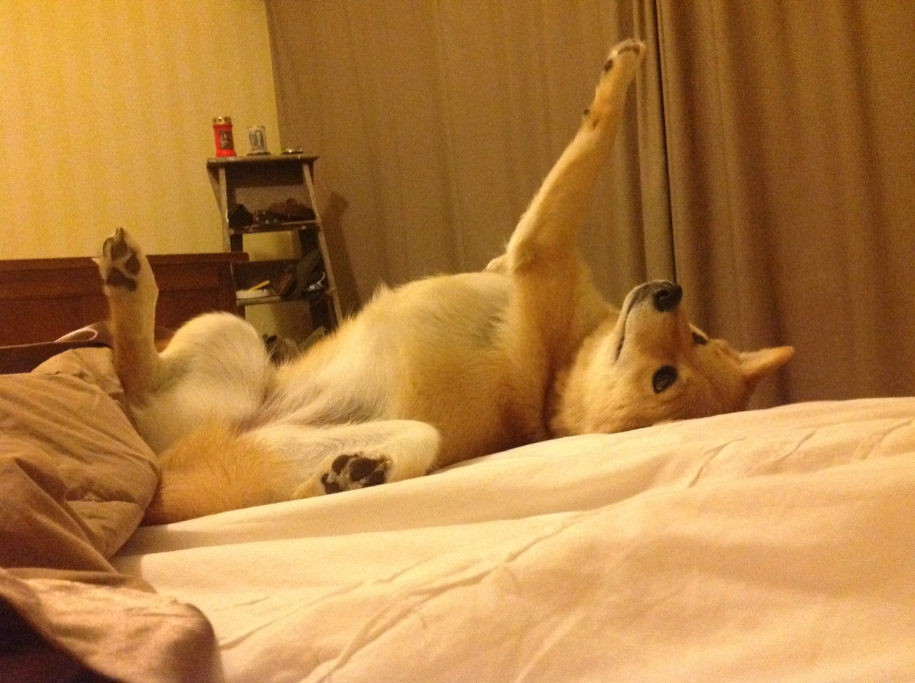 开云体育平台APP-年度焦点之战，尼克斯爆冷击败浙江队，平凡英雄如何改写剧本？